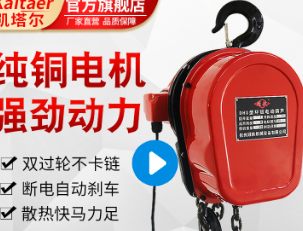 环链电动荔枝视频高清在线